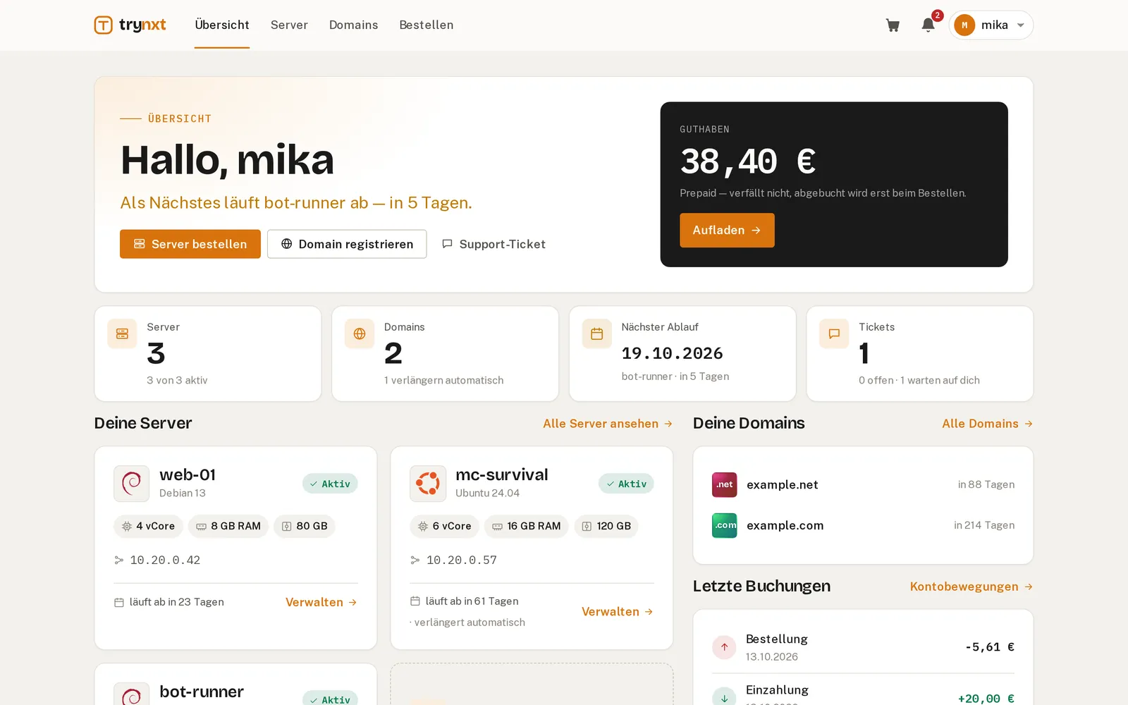 Die Startseite: was als Nächstes abläuft, dein Guthaben, deine Server und Domains.